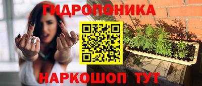 мдпв Аша