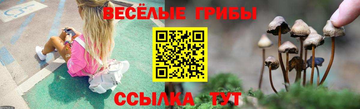 Псилоцибиновые грибы Psilocybine cubensis  Галлюциногенные грибы мицелий  наркота  Вход с VPN  Рыбинск 